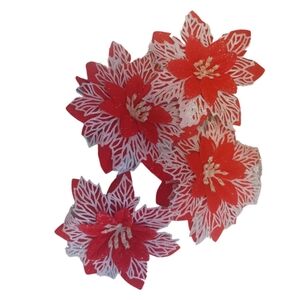 Poinsetta & Berry Decor